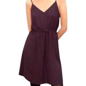 Aritzia Deep Plum Mini Dress